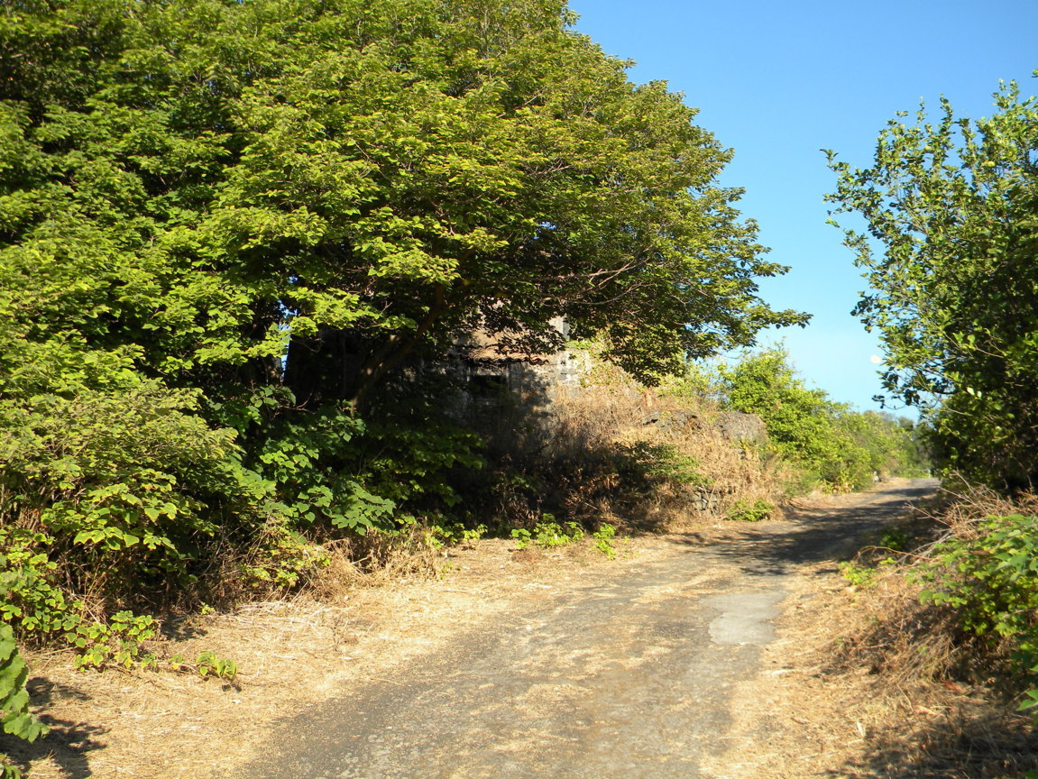 DSCN8054 .JPG